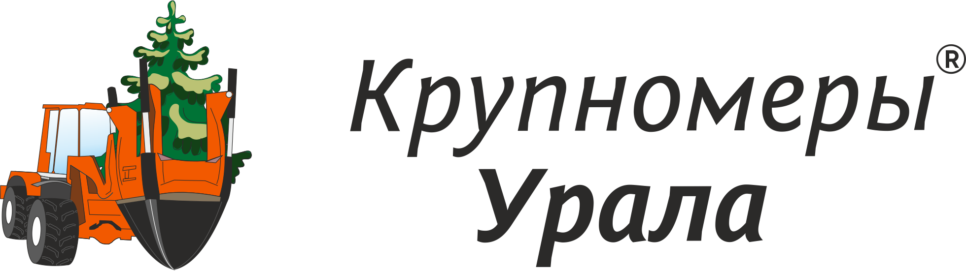 Саженцы хвойных деревьев крупномеров✔️ купить в Курске, цена - питомник  «Крупномеры Урала»